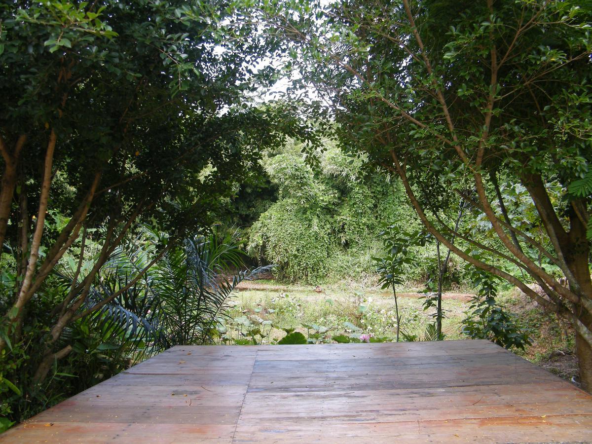 Ya Teng Homestay Ban Tha Sai Esterno foto